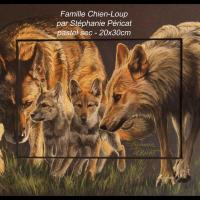 Famille Chien-loup (Saarloos et Tchecoslovaque )  -  20 x30 cm  -  Disponible