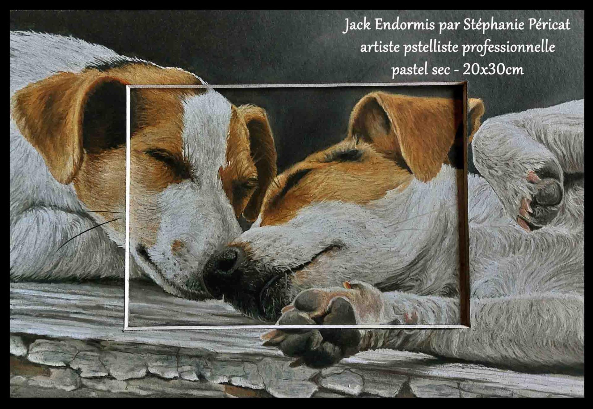 Jack Endormis  -  20 x 30 cm  -  Disponible