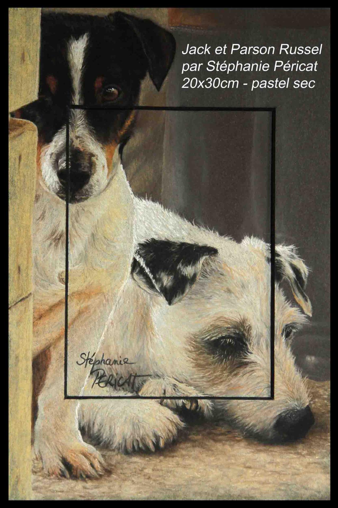 Jack et Parson Russel  -  20 x 30 cm