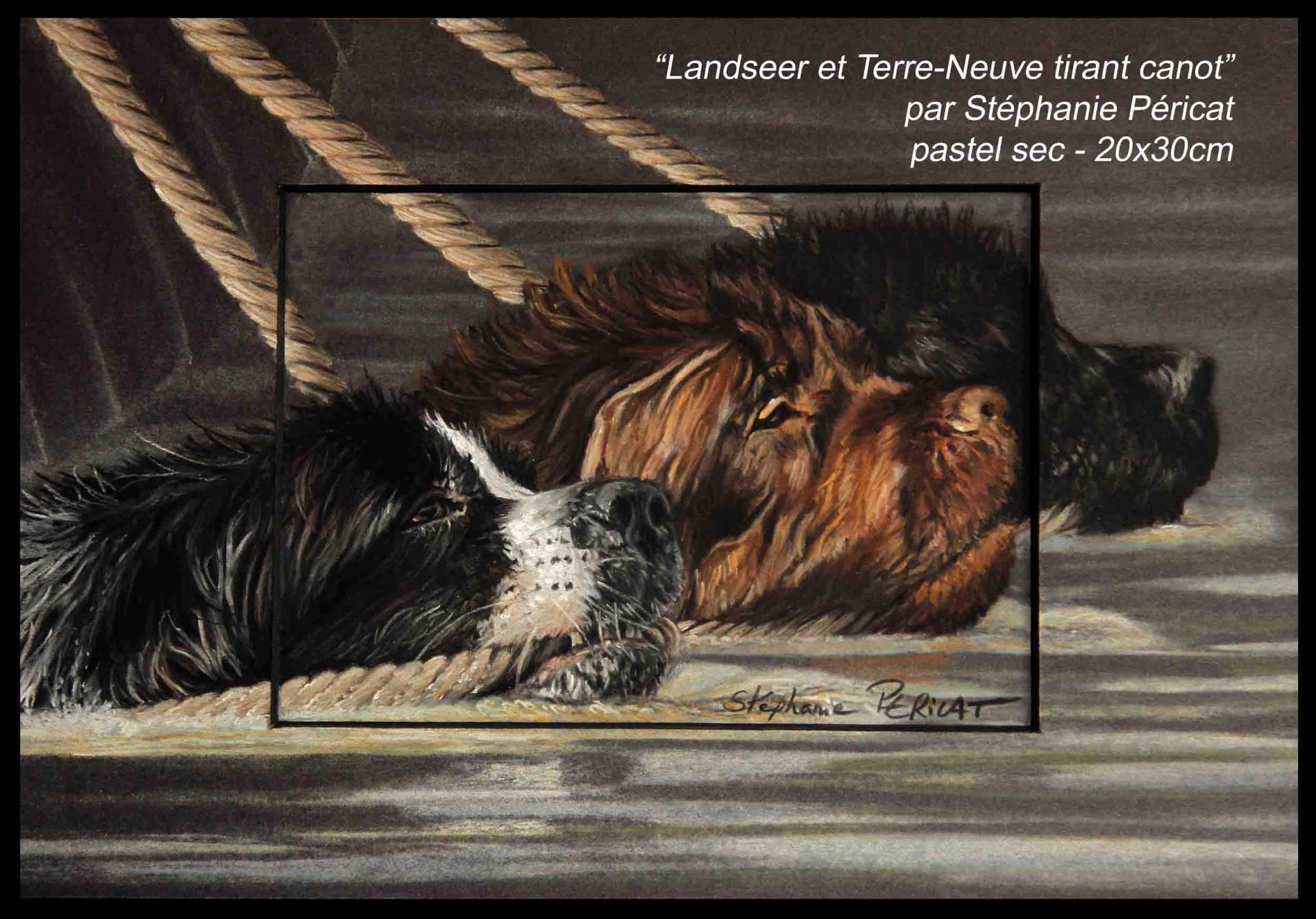 Landseer et Terre-Neuve tirant un canot  -  20 x 30 cm