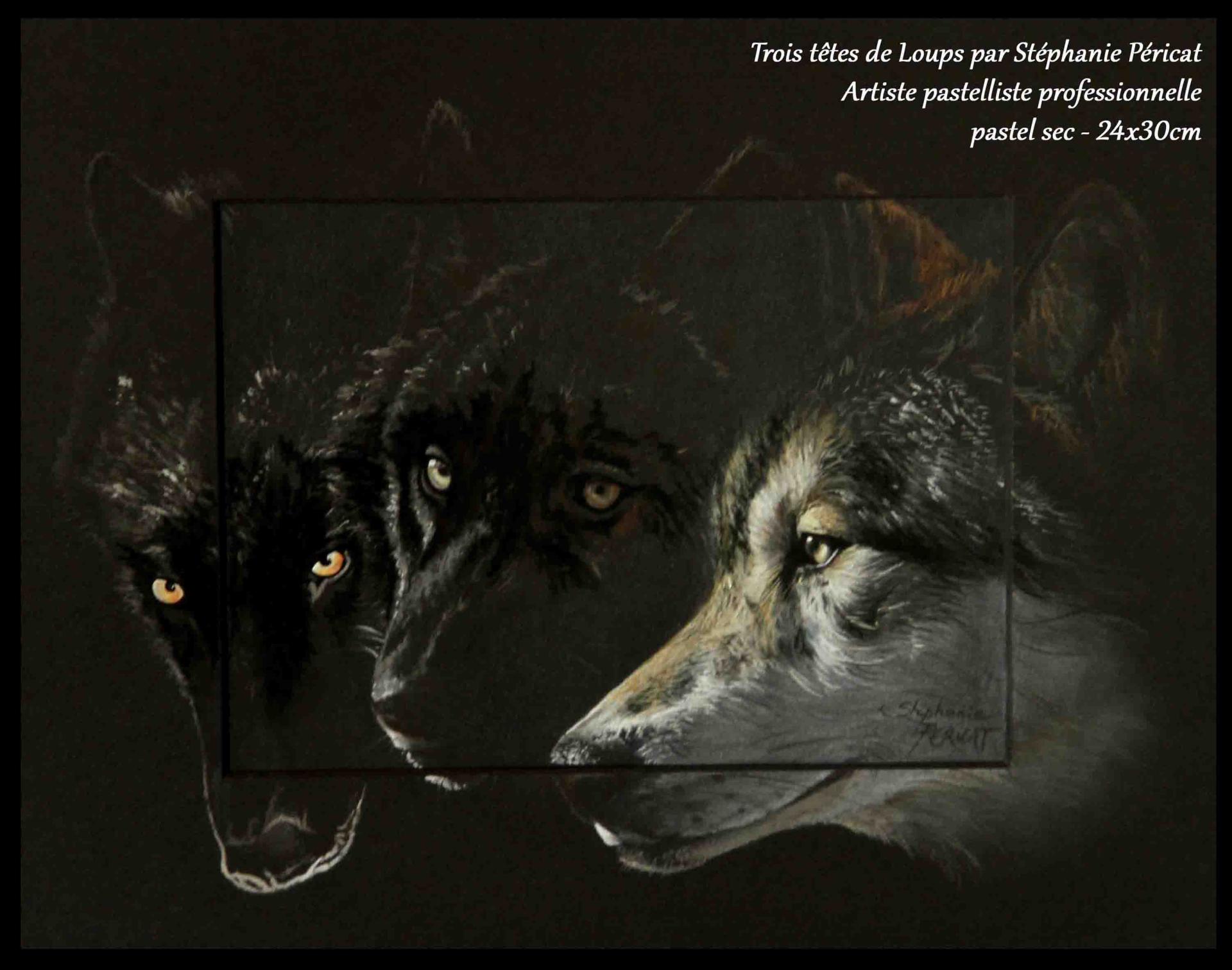 Trio Têtes de Loups  -  24 x 30 cm